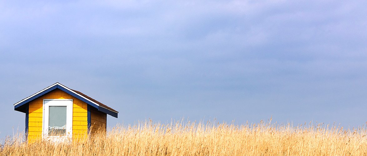 Small enclosed yellow hut in a wheat field under a stormy sky.